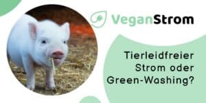 Veganstrom.com - Tierleidfreier Strom oder Green-Washing?